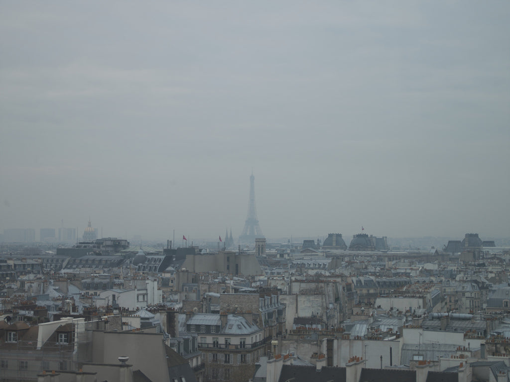 Paris. Rooftops with a view of the Eiffel Tower - Landscape Photography Print