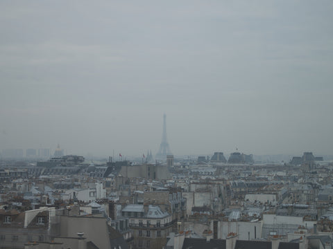 Paris. Rooftops with a view of the Eiffel Tower - Landscape Photography Print